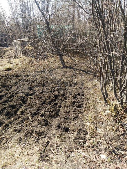 Участок 4,9 сот. (СНТ, ДНП)