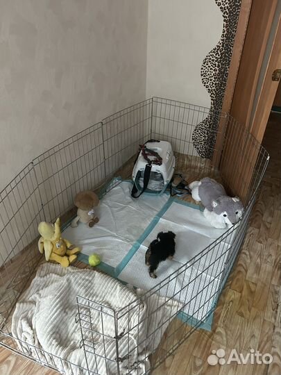 Вольер для домашних животных