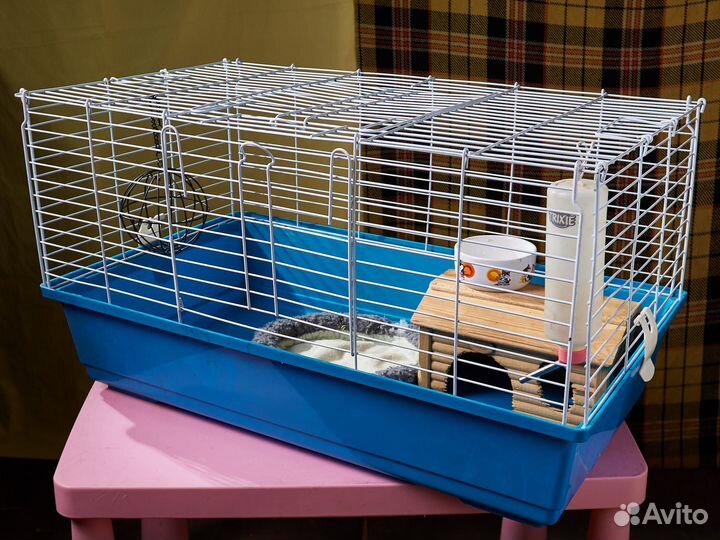 Клетка для морской свинки морских свинок ежа