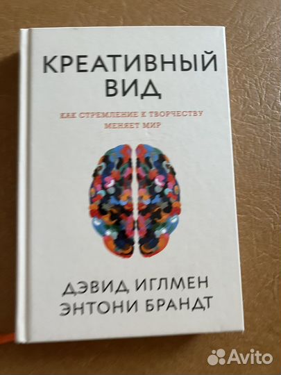 Креативный вид Иглмен Брандт