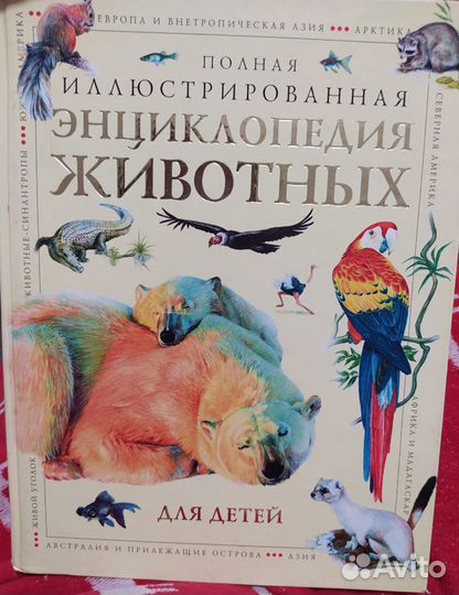 Детская энциклопедия