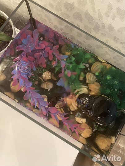 Аквариум с рыбками