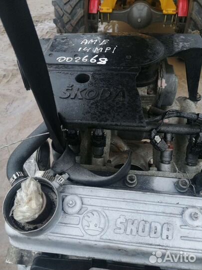 Двигатель Шкода Фелиция / Skoda Felicia 1,4 бензин