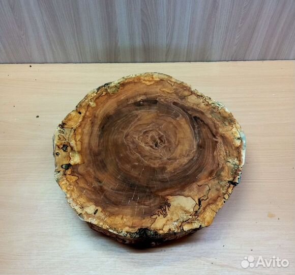 Спилы дерева