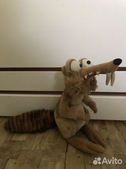 Кот и белка