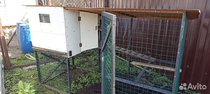 Курятник на 7 кур