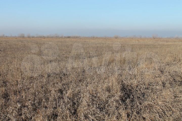 Участок 62 га (СНТ, ДНП)