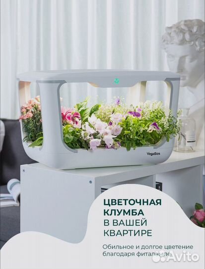 Домашняя садовая ферма Vegebox L-box