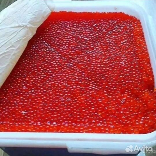 Икра красная кеты