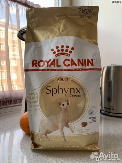 Сухой корм для кошек royal canin Sphynx Adult