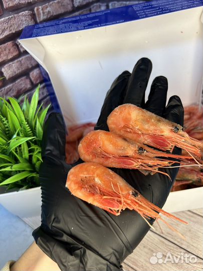 Северная Креветка Сахалинская Дальнекреветка