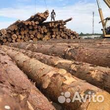 Операторы ленточной пилорамы, подсобные рабочие