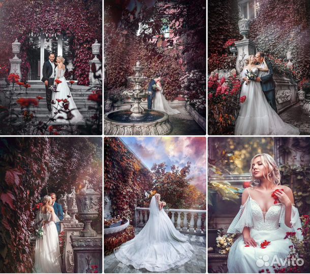 Профессиональный Свадебный Фотограф Фото-художник