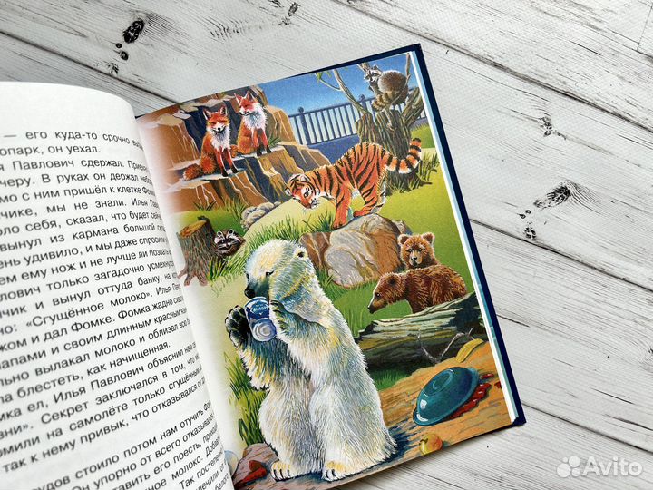 Фомка - белый медвежонок