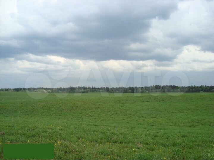 Участок 2,5 га (СНТ, ДНП)