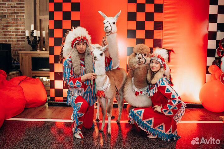 Шоу с животными хищники на фотосессию экзотические