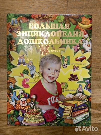 Большая энциклопедия дошкольника
