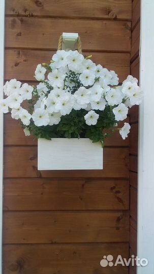 Кашпо для цветов