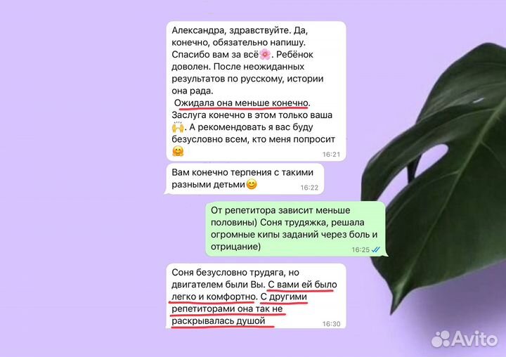 Репетитор по истории и обществознанию