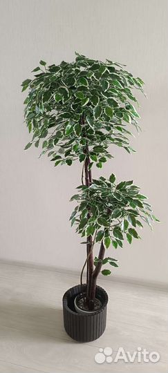 Искусственное дерево фикус, бамбук
