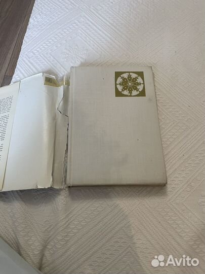 Книга о кактусах