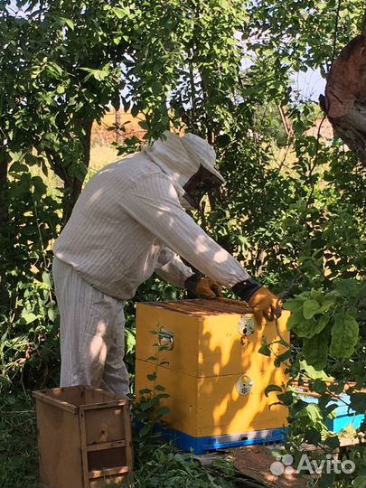 Мёд с доставкой