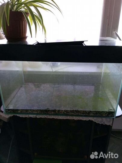 Аквариум