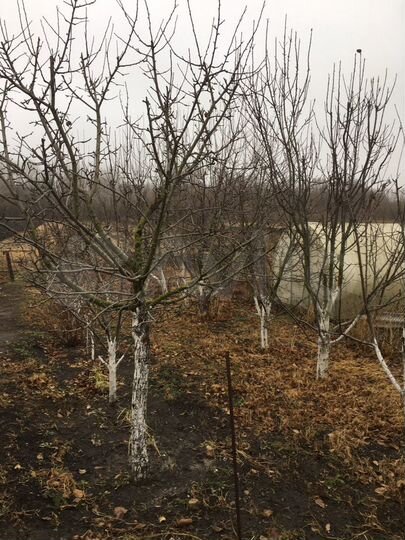 Дом 64 м² на участке 25 сот.