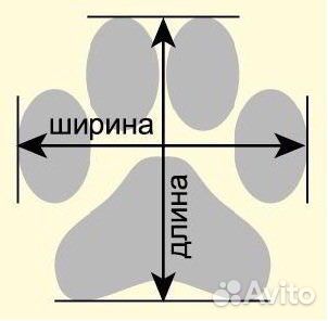 Угги для мелких собак 2 и 3 размер
