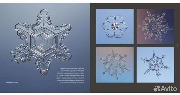 Тайна ледяных кристаллов. Книга