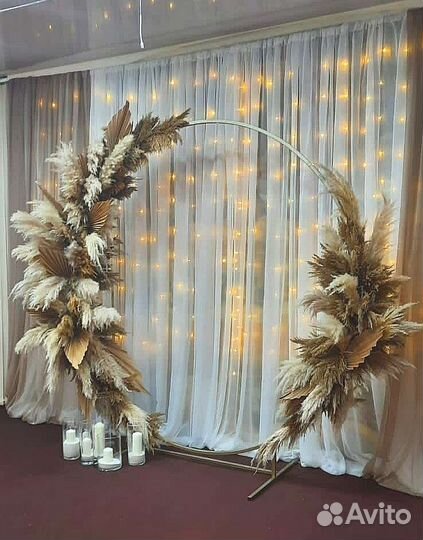 Пампасная трава.Предзаказ