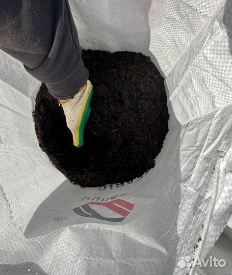 Чернозем, плодородная земля