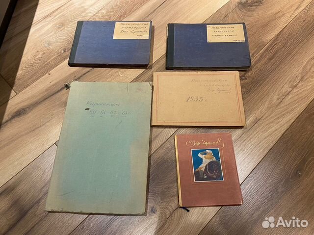 Политические карикатуры Ефимова