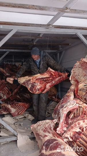 Мясо, свинина, говядина, фарш, идр