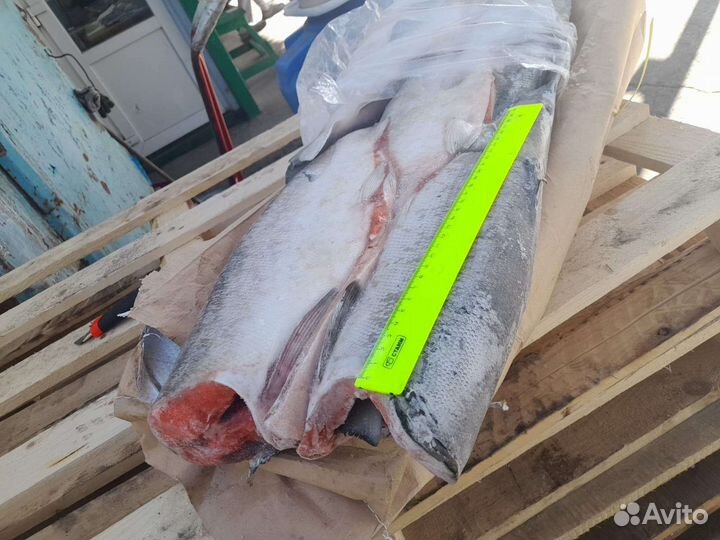 Нерка бг 2.5+ свежий вылов