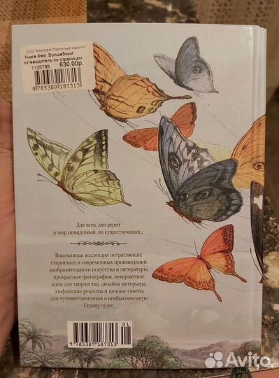 Книга Фей Кэролин Терджен