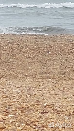 Ракушки морские мелкие