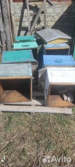 Улья дадан и подставки