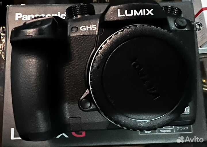 Беззеркальный фотоаппарат Panasonic GH5