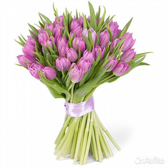 Тюльпаны к 8 марта