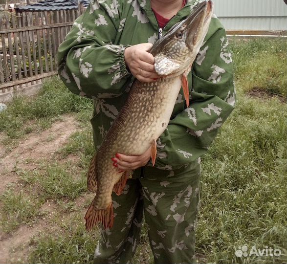 Рыбалка и отдых