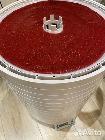 Сушилка для овощей и фруктов Ezidri Snackmaker