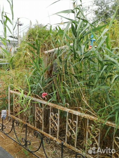 Производим благоустройство и уборку на могилах