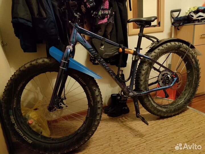 Mongoose argus comp 2022