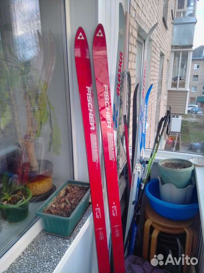 Горные лыжи