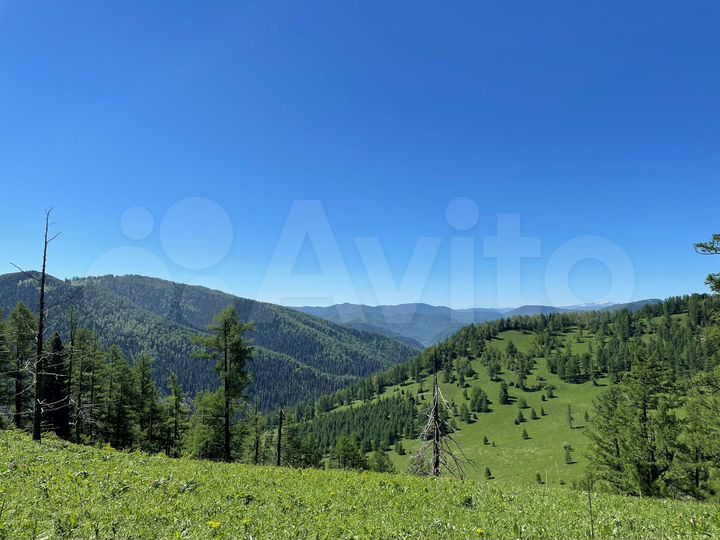 Участок 100 сот. (СНТ, ДНП)