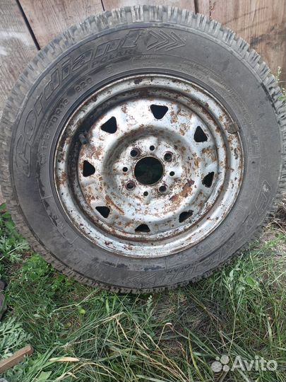 Cordiant Polar 175/70 R13