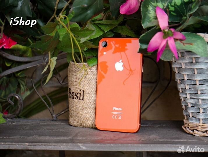 iPhone Xr, 128 ГБ