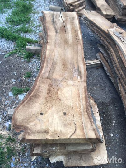 Слэб ореха 3,5м большой выбор