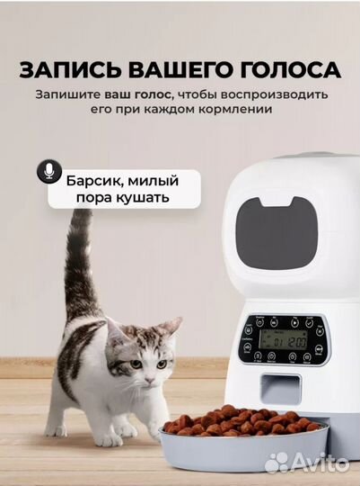 Автоматическая кормушка для кошек